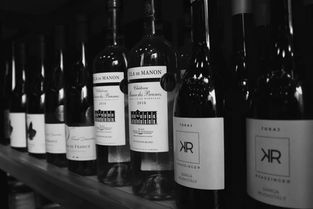 又一家開業(yè),南向坡地引領(lǐng)酒類零售新風(fēng)向